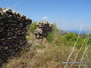 n Michele Forza Agro-13-08-2020 14